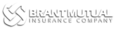 Brant Mutual Insurance Co