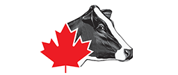 Holstein Association Of Canada